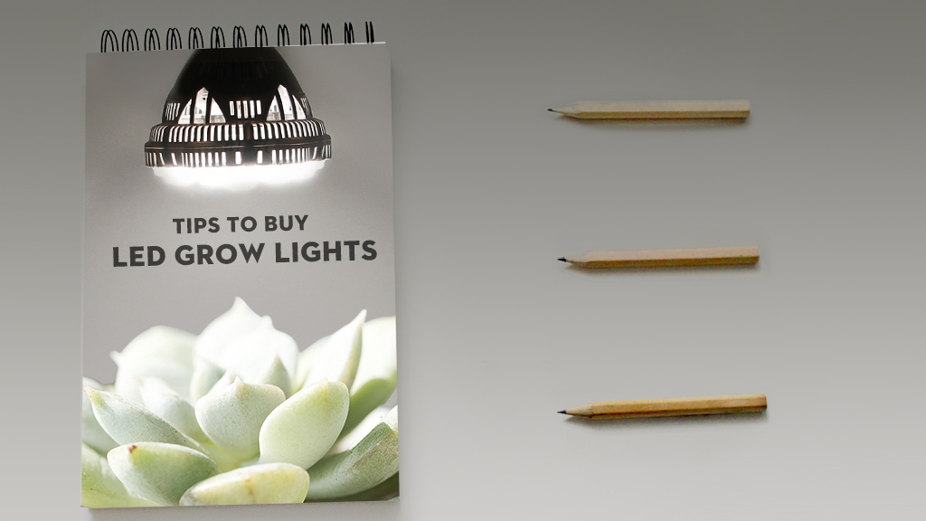 Tips for Buying LED Grow Lights