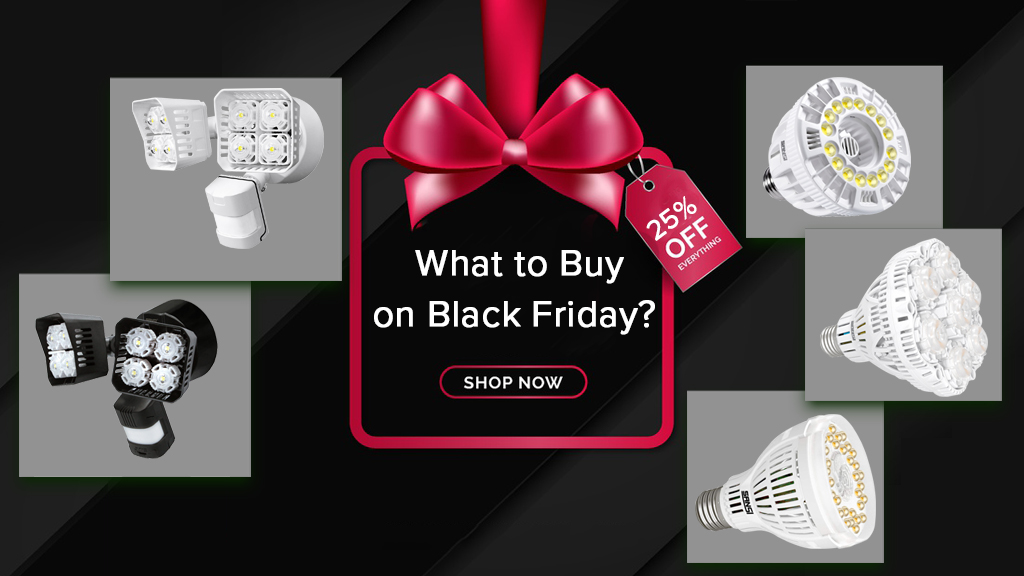 What Are The Best Products to Buy on Black Friday?