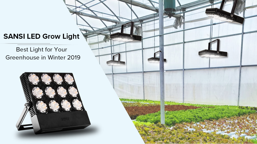 Best Light for Your Greenhouse in Winter 2019