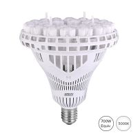 100W LED High Bay Light Bulb