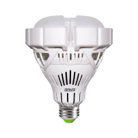 BR30 35W LED Bulb (5000K)